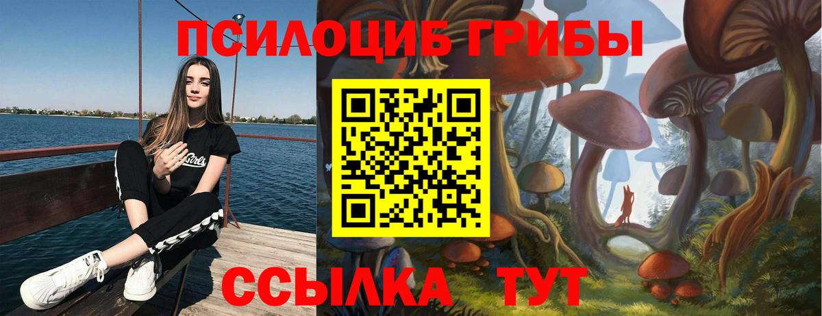 наркотики  Вход с VPN  Владикавказ  Галлюциногенные грибы Psilocybe 