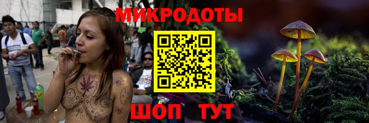 Галлюциногенные грибы Psilocybe Владикавказ